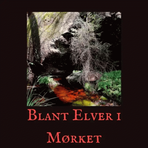 Avertia : Blant Elver i Mørket